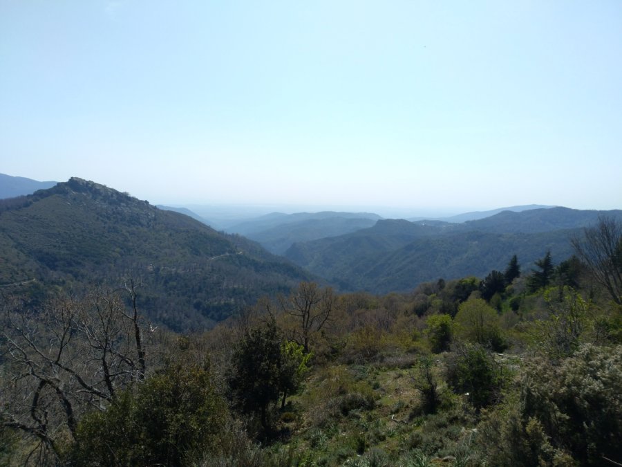 Pianello 2019